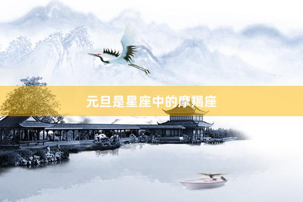 元旦是星座中的摩羯座