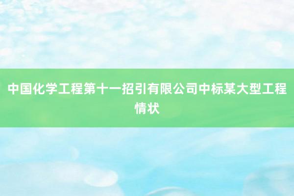 中国化学工程第十一招引有限公司中标某大型工程情状