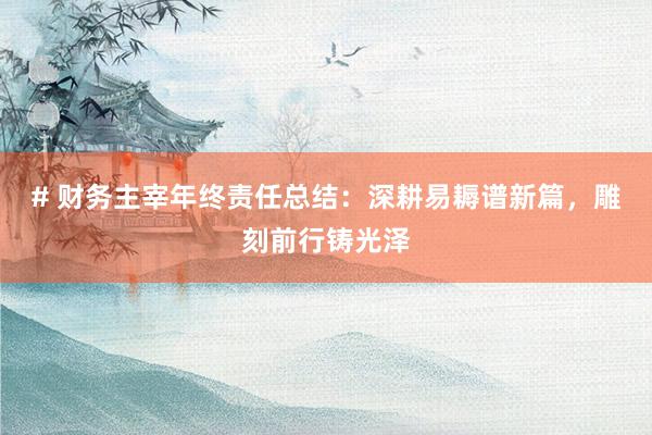 # 财务主宰年终责任总结：深耕易耨谱新篇，雕刻前行铸光泽