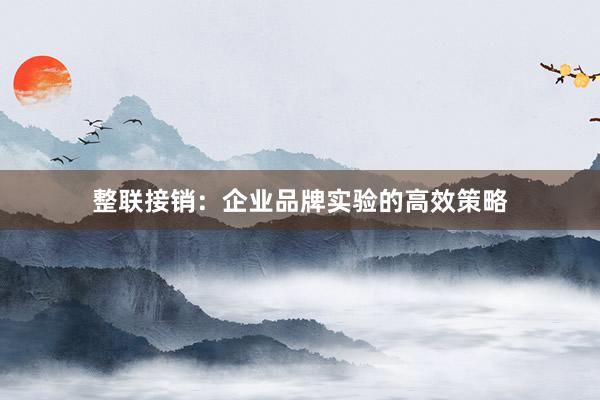 整联接销：企业品牌实验的高效策略